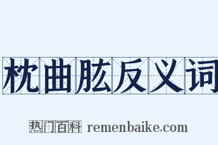 枕曲肱反义词是什么意思的图片